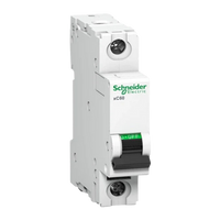 Schneider K60H C Curve Miniature Circuit Breaker MCB