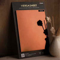 Versasheet Mirror Sheet - Flexible Acrylic Mirror Panel (Per Sqft)