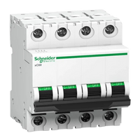 Schneider K60H C Curve Miniature Circuit Breaker MCB